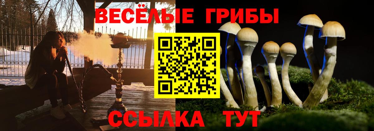 Щёлково  Псилоцибиновые грибы Psilocybe  где купить наркоту  Вход с VPN 
